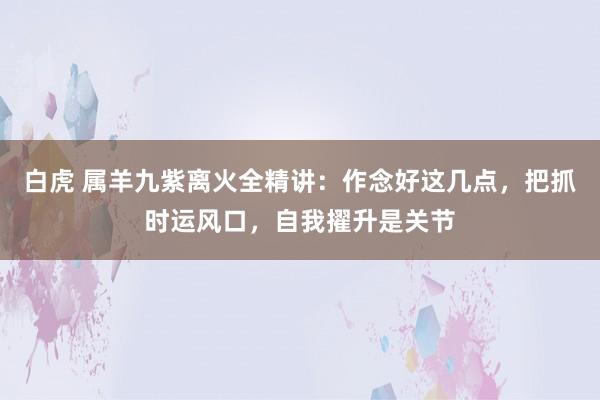 白虎 属羊九紫离火全精讲：作念好这几点，把抓时运风口，自我擢升是关节