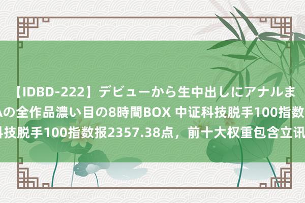 【IDBD-222】デビューから生中出しにアナルまで！最強の芸能人AYAの全作品濃い目の8時間BOX 中证科技脱手100指数报2357.38点，前十大权重包含立讯精密等