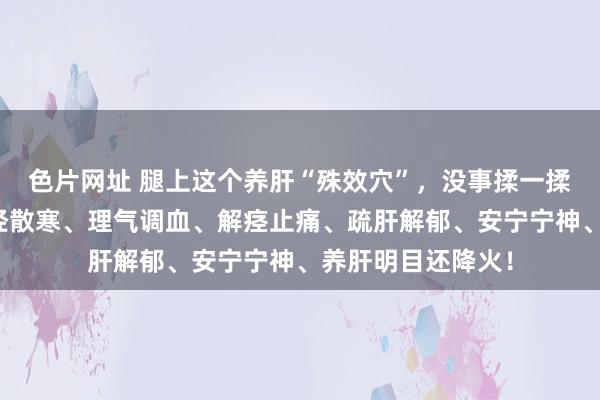 色片网址 腿上这个养肝“殊效穴”，没事揉一揉，回阳救逆、温经散寒、理气调血、解痉止痛、疏肝解郁、安宁宁神、养肝明目还降火！