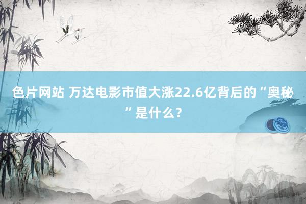 色片网站 万达电影市值大涨22.6亿背后的“奥秘”是什么？