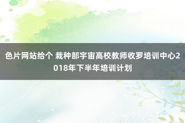 色片网站给个 栽种部宇宙高校教师收罗培训中心2018年下半年培训计划