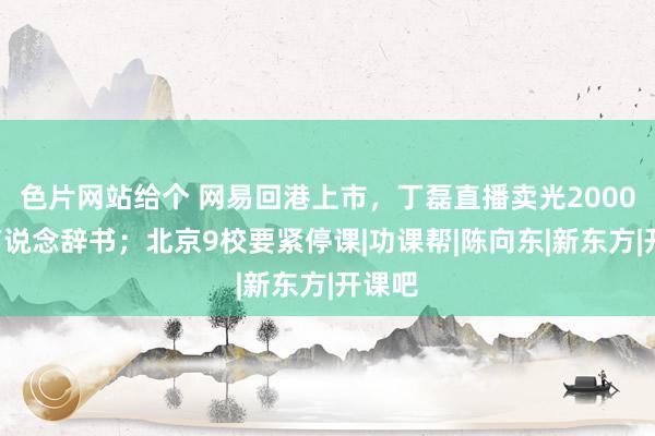 色片网站给个 网易回港上市，丁磊直播卖光20000台有说念辞书；北京9校要紧停课|功课帮|陈向东|新东方|开课吧