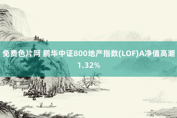 免费色片网 鹏华中证800地产指数(LOF)A净值高潮1.32%