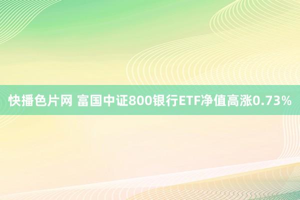 快播色片网 富国中证800银行ETF净值高涨0.73%