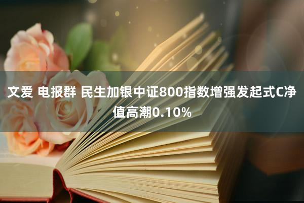 文爱 电报群 民生加银中证800指数增强发起式C净值高潮0.10%