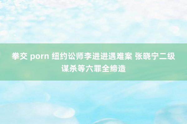 拳交 porn 纽约讼师李进进遇难案 张晓宁二级谋杀等六罪全缔造